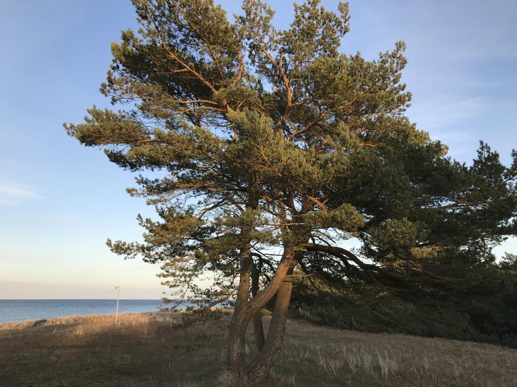 Zum Nordstrand Prerow Esterno foto