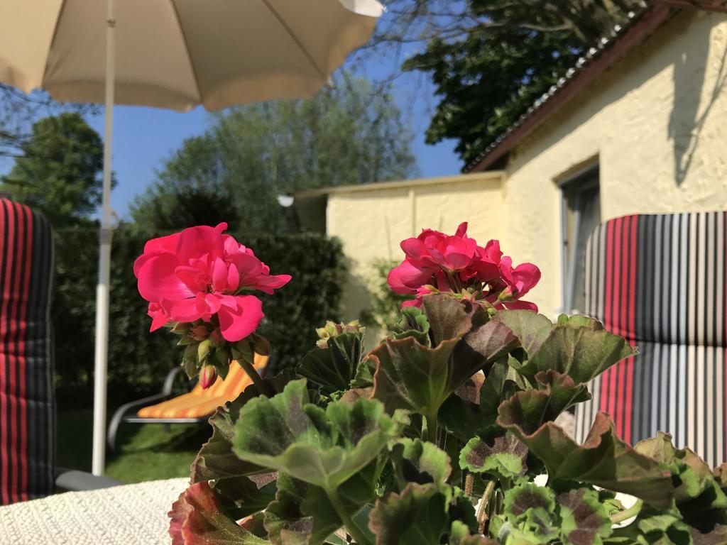 Zum Nordstrand Prerow Esterno foto